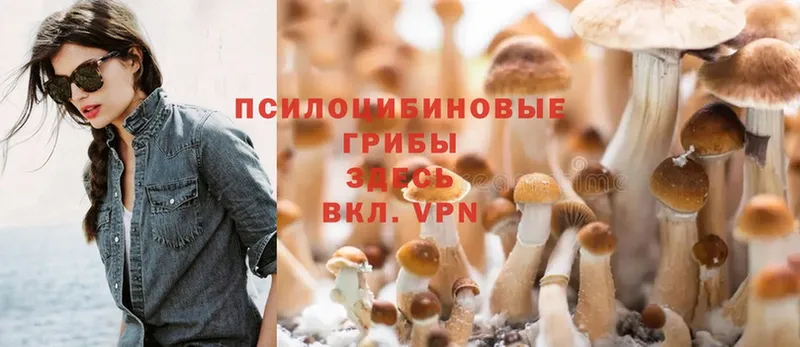 Галлюциногенные грибы Cubensis  наркотики  Прохладный 